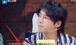 张歆艺华晨宇最新爆料,揭秘娱乐圈背后的故事